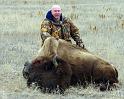 bison09_0034