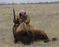 Bison Hunt