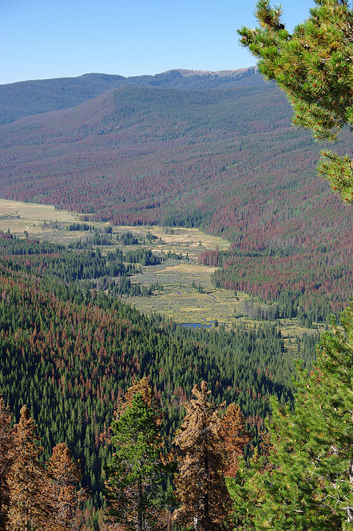 rmnp08_047.jpg