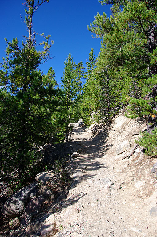 rmnp08_061.jpg